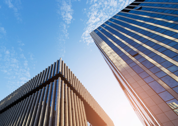 灵芝盆景、永登云海、永登灵芝盆景、灵芝粉、灵芝子实体切片、椴木灵芝、切片灵芝。